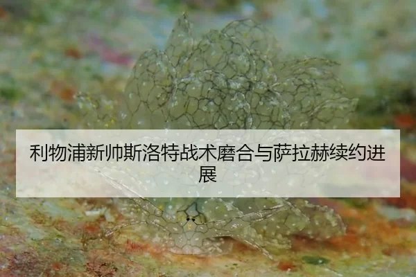 利物浦新帅斯洛特战术磨合与萨拉赫续约进展