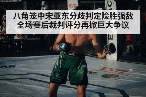 八角笼中宋亚东分歧判定险胜强敌 全场赛后裁判评分再掀巨大争议