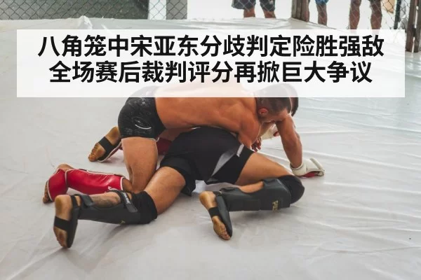 mixed martial arts fight