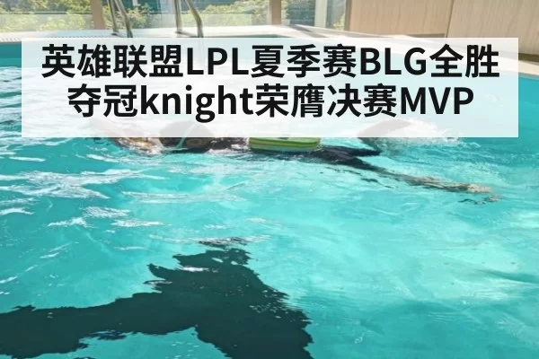 英雄联盟LPL夏季赛BLG全胜夺冠knight荣膺决赛MVP
